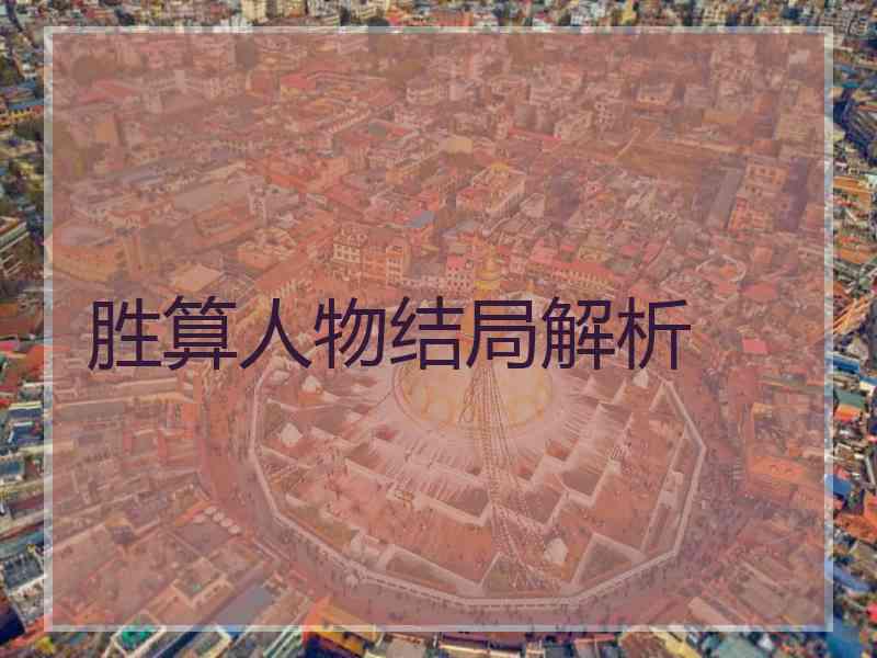 胜算人物结局解析