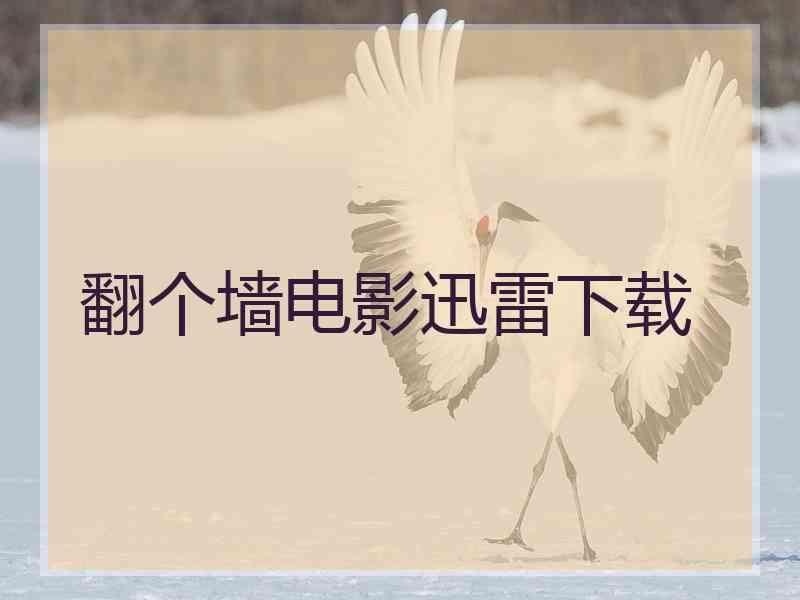 翻个墙电影迅雷下载