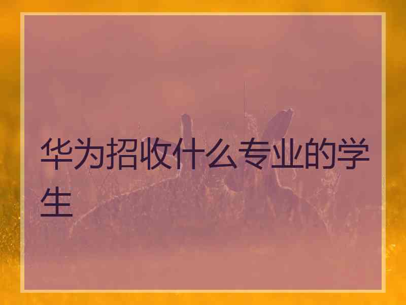 华为招收什么专业的学生