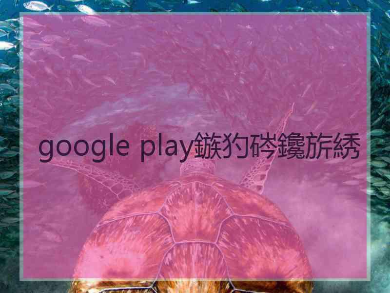 google play鏃犳硶鑱旂綉
