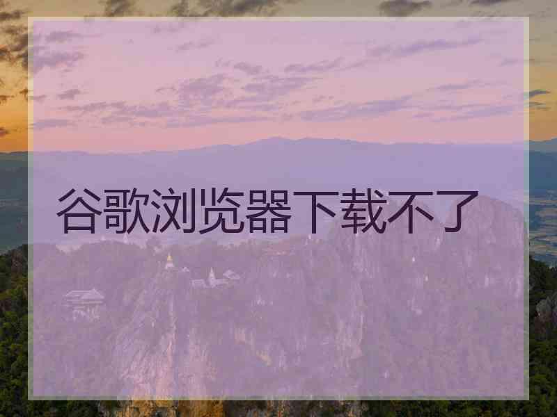 谷歌浏览器下载不了