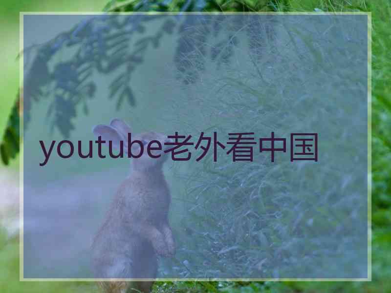 youtube老外看中国