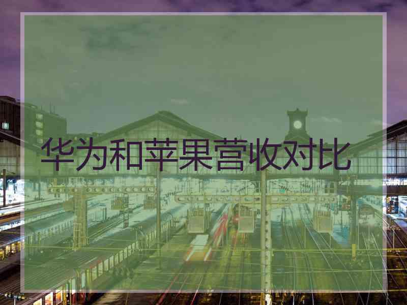 华为和苹果营收对比