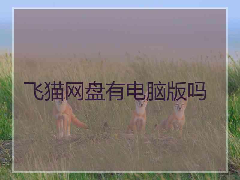 飞猫网盘有电脑版吗