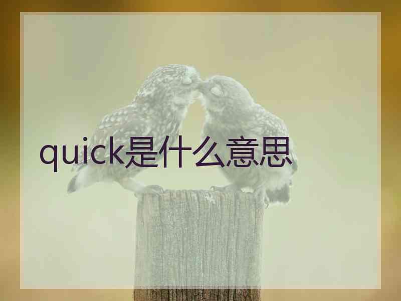 quick是什么意思