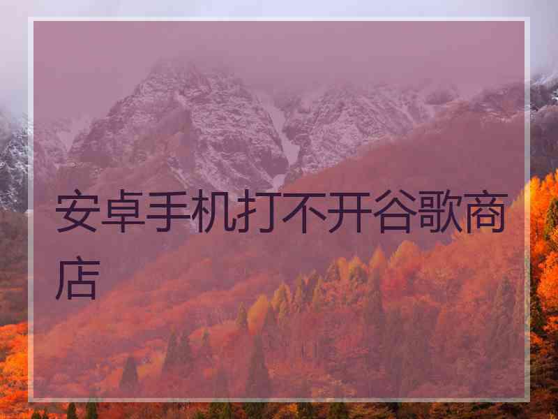 安卓手机打不开谷歌商店