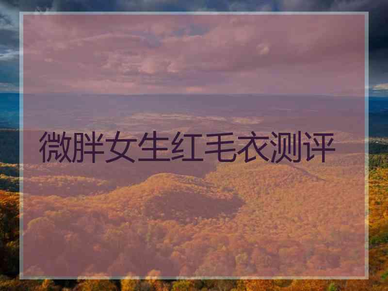 微胖女生红毛衣测评