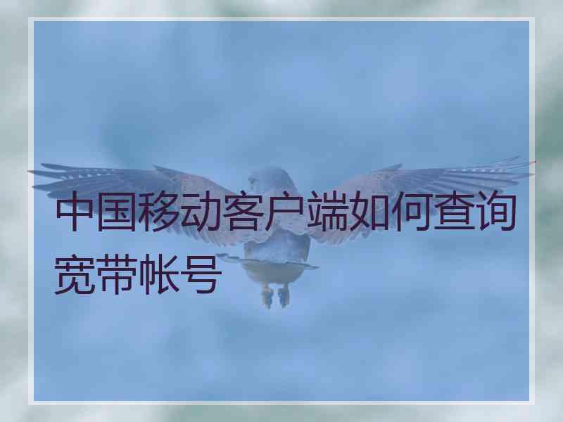中国移动客户端如何查询宽带帐号