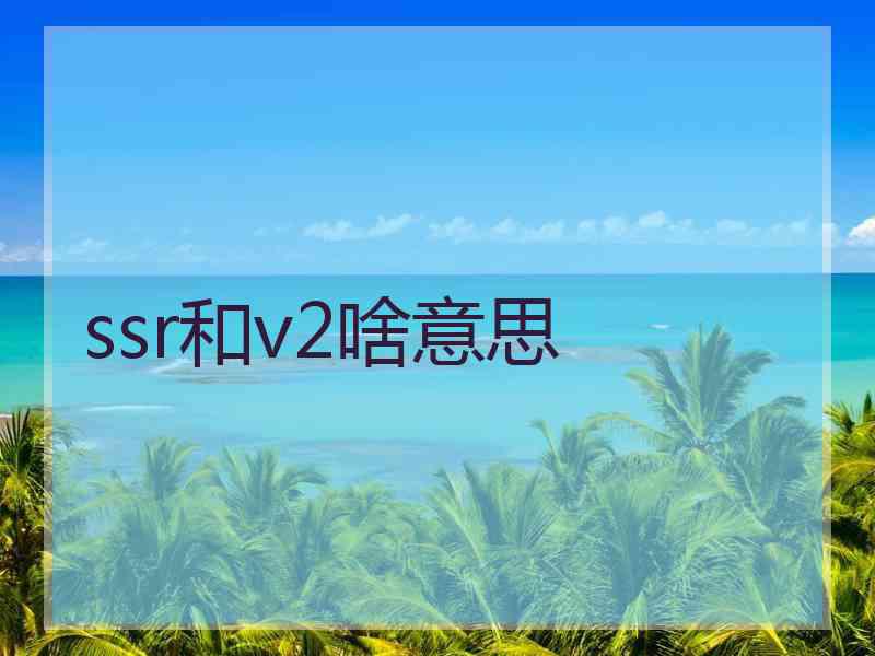ssr和v2啥意思