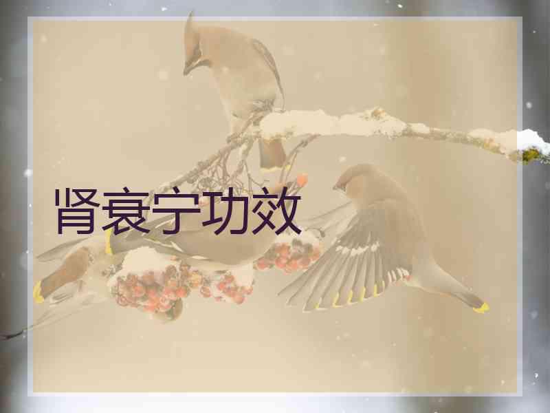 肾衰宁功效