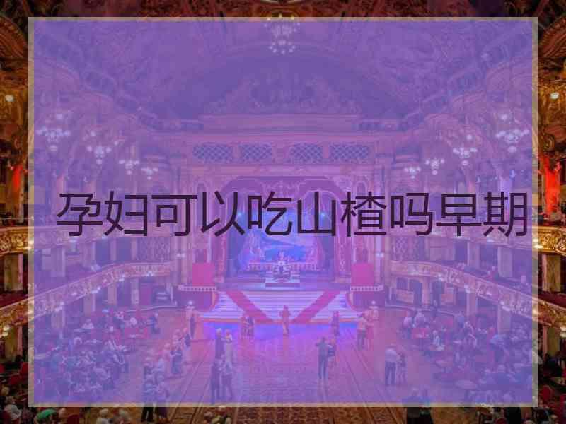 孕妇可以吃山楂吗早期