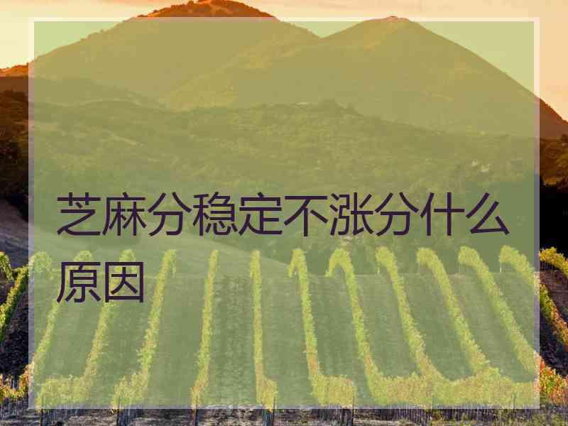 芝麻分稳定不涨分什么原因