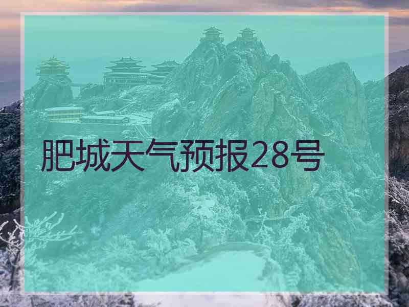 肥城天气预报28号