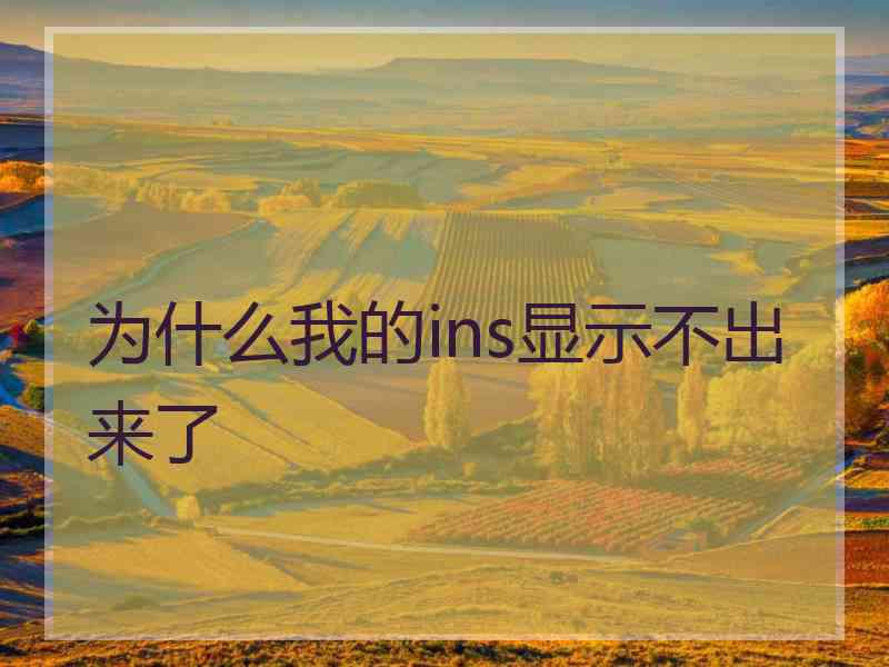 为什么我的ins显示不出来了