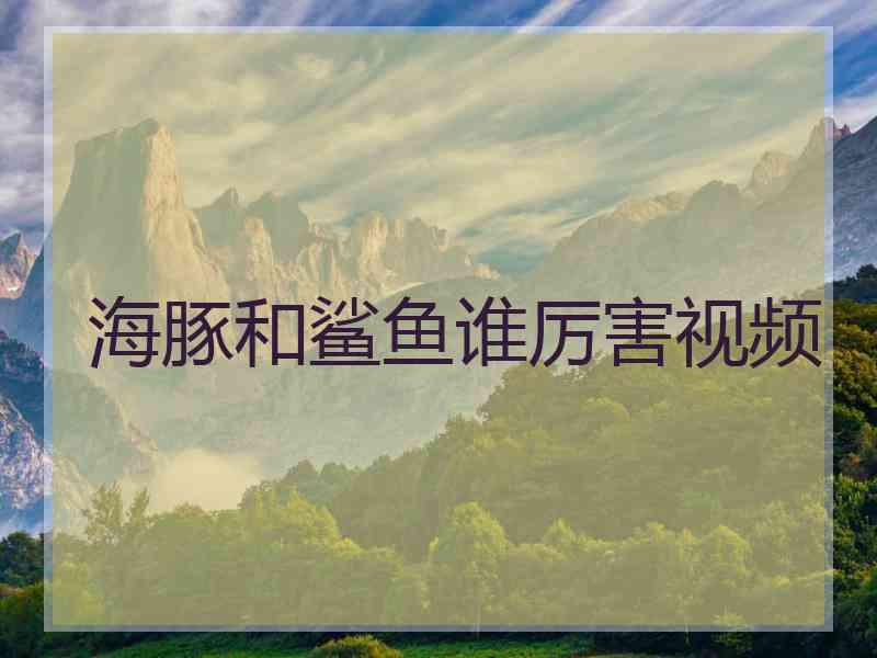 海豚和鲨鱼谁厉害视频