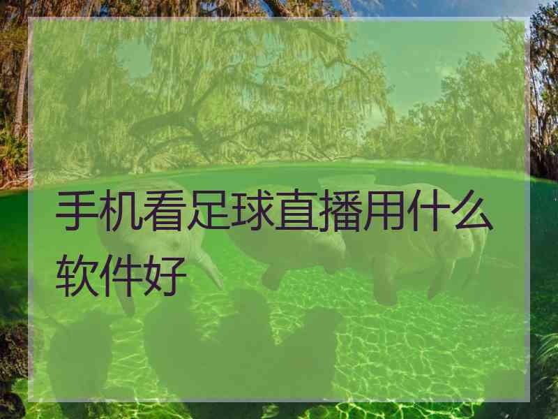 手机看足球直播用什么软件好
