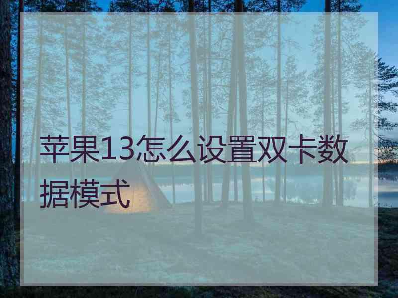 苹果13怎么设置双卡数据模式