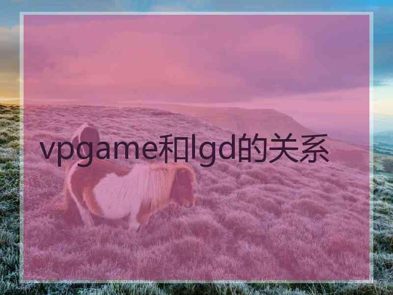 vpgame和lgd的关系