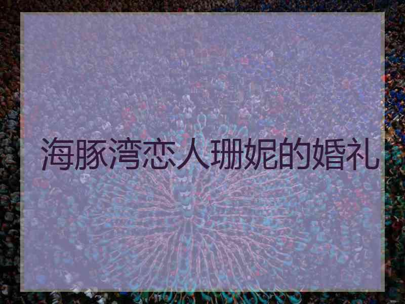 海豚湾恋人珊妮的婚礼
