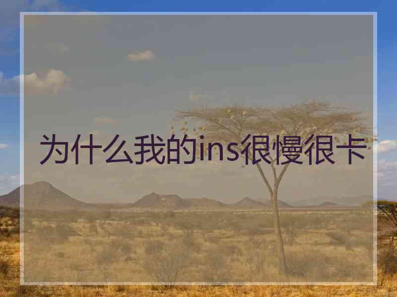 为什么我的ins很慢很卡