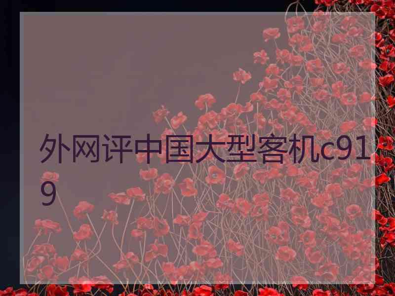 外网评中国大型客机c919