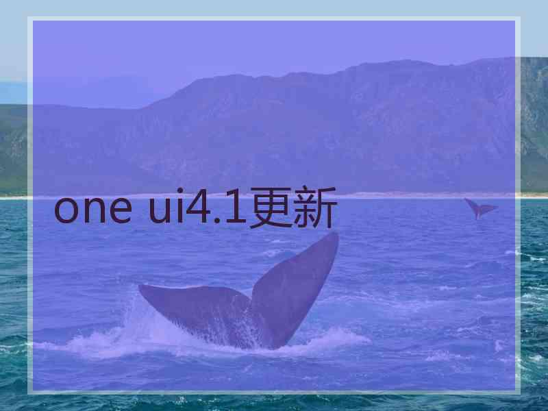 one ui4.1更新