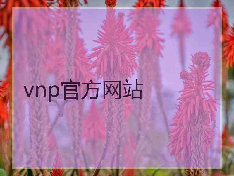 vnp官方网站