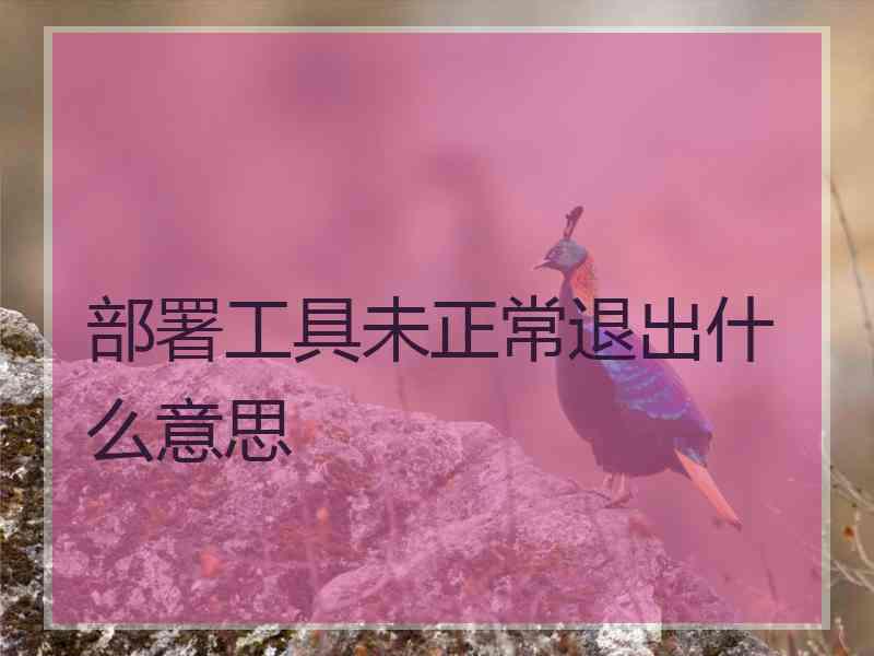 部署工具未正常退出什么意思