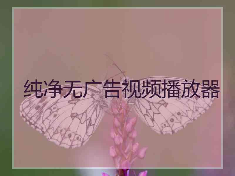 纯净无广告视频播放器
