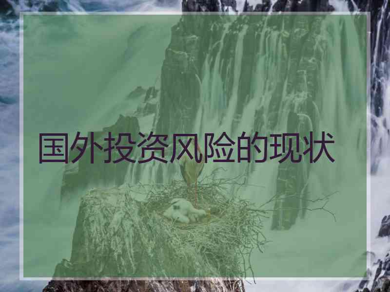 国外投资风险的现状