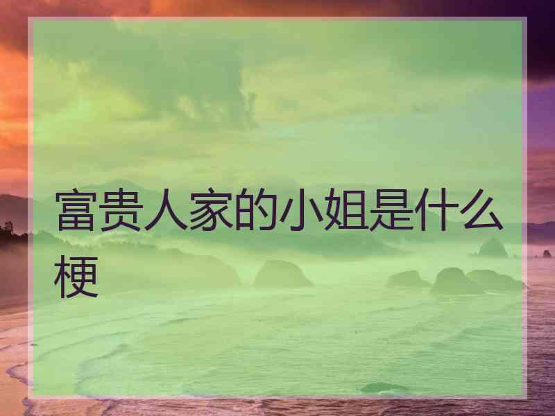 富贵人家的小姐是什么梗