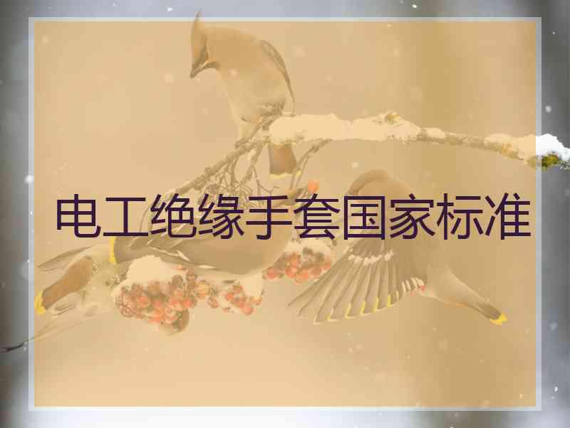 电工绝缘手套国家标准