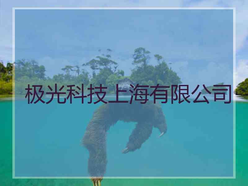 极光科技上海有限公司