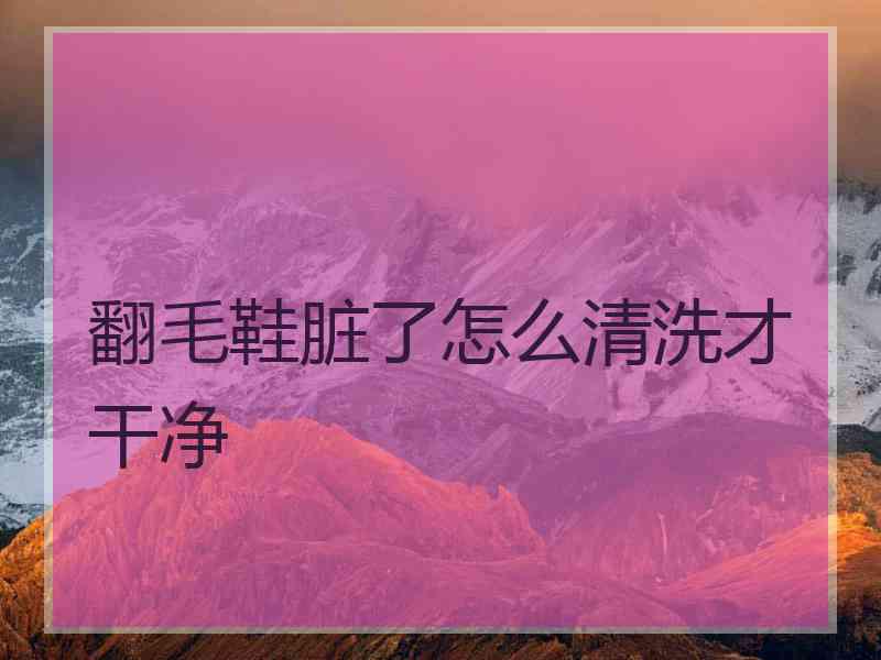 翻毛鞋脏了怎么清洗才干净