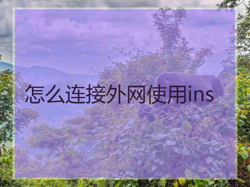 怎么连接外网使用ins