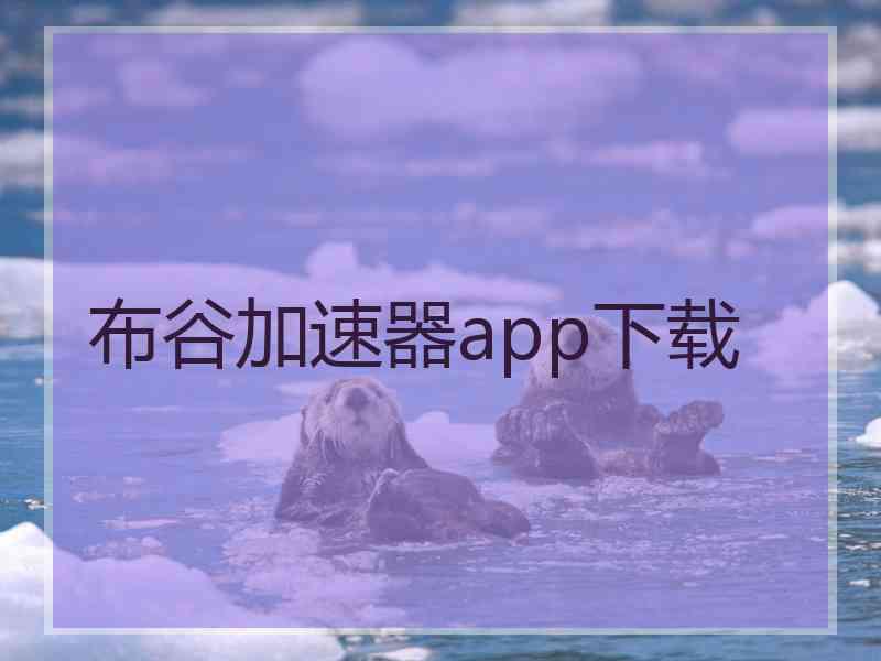 布谷加速器app下载