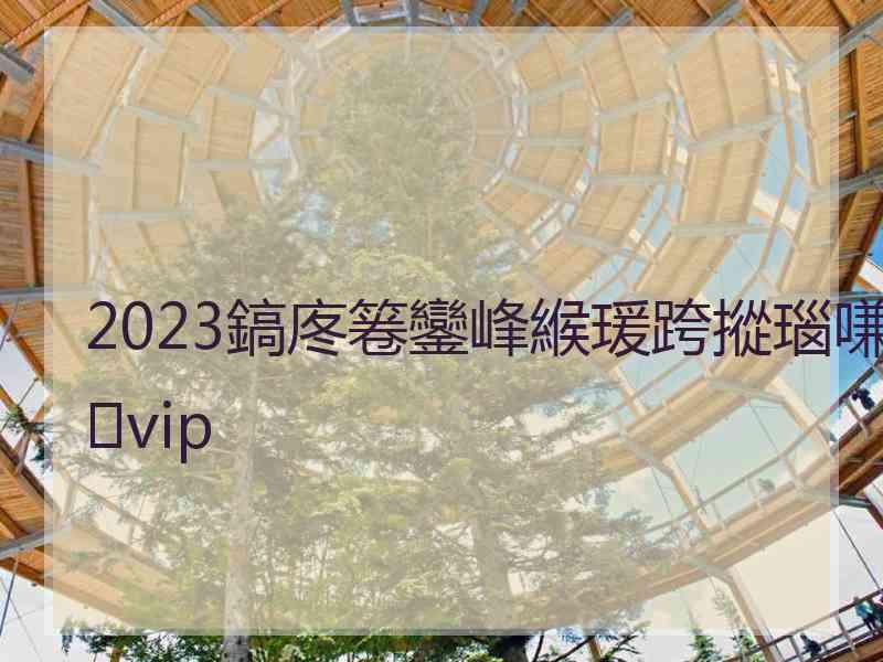 2023鎬庝箞鑾峰緱瑗跨摐瑙嗛vip