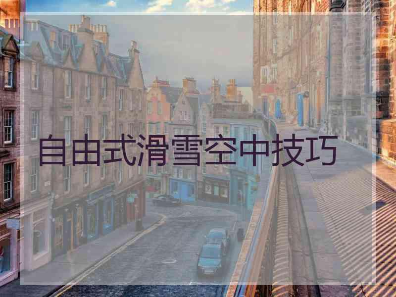 自由式滑雪空中技巧
