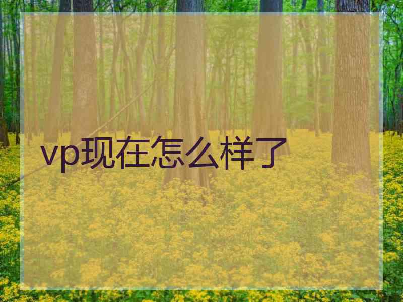 vp现在怎么样了