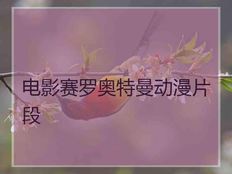 电影赛罗奥特曼动漫片段