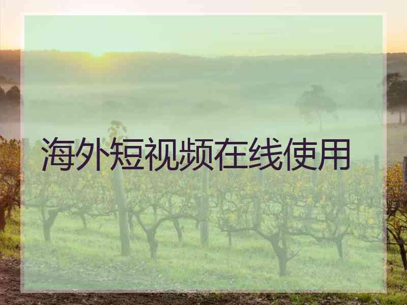 海外短视频在线使用