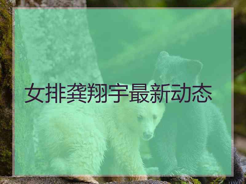 女排龚翔宇最新动态