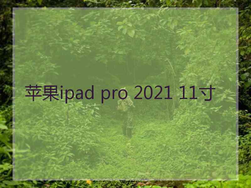 苹果ipad pro 2021 11寸