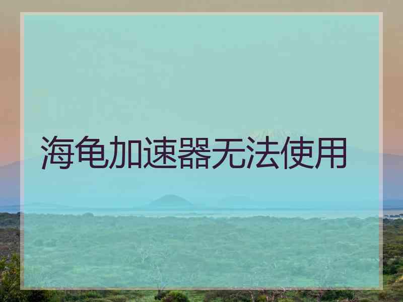 海龟加速器无法使用