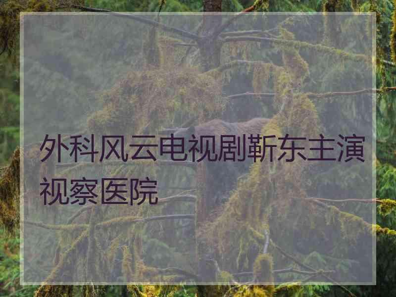 外科风云电视剧靳东主演视察医院