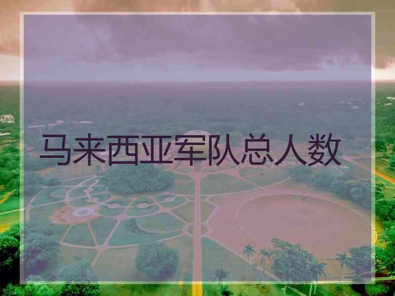 马来西亚军队总人数