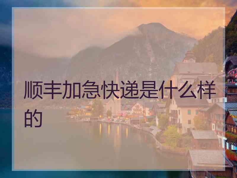 顺丰加急快递是什么样的