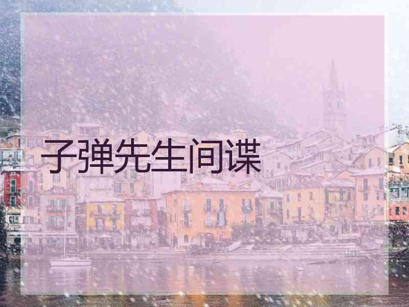 子弹先生间谍