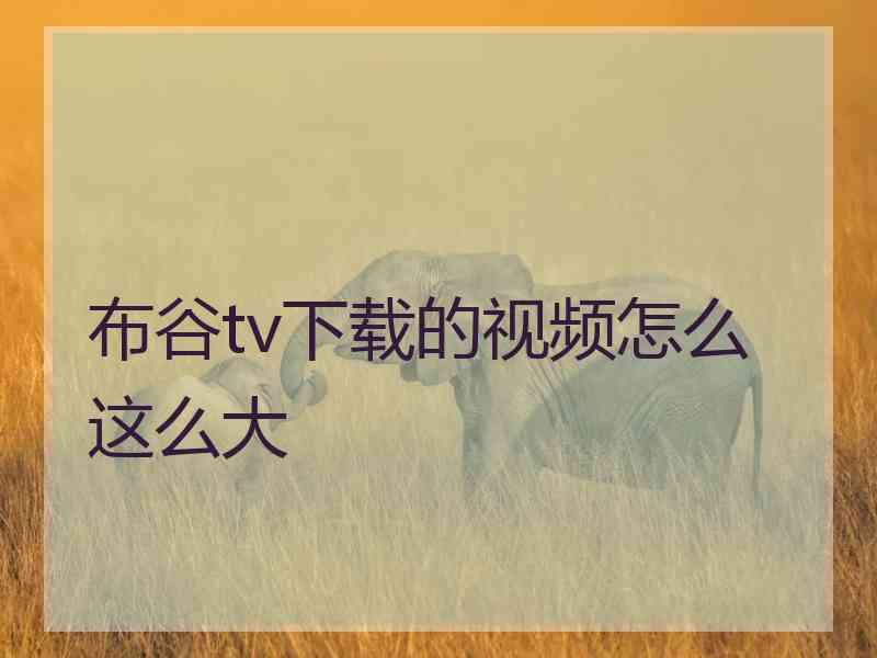 布谷tv下载的视频怎么这么大