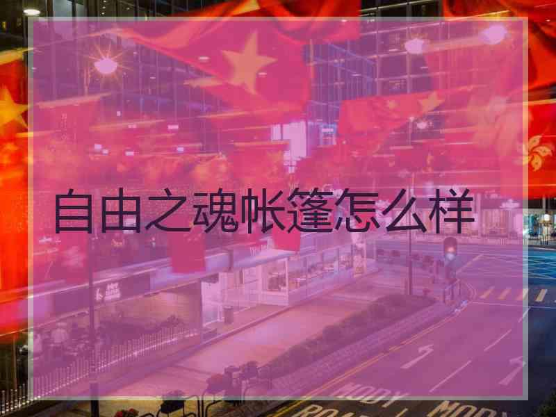 自由之魂帐篷怎么样